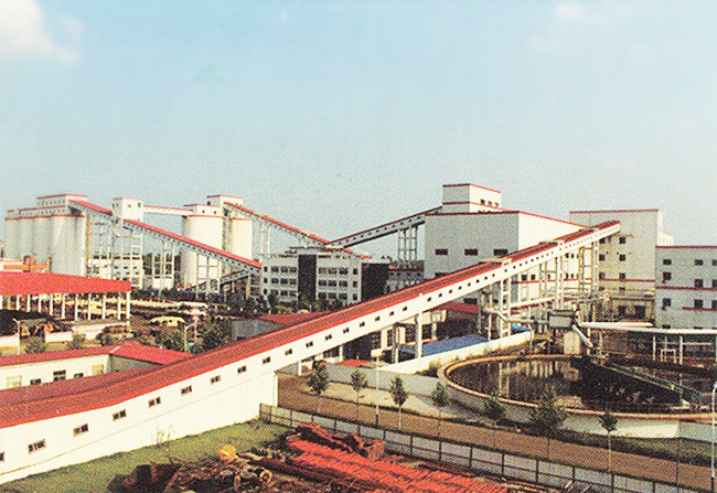 �ɹ�����